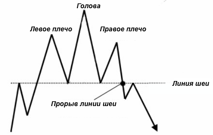 Голова и плечи