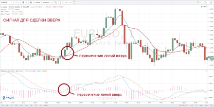 MA+MACD