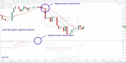 MA+MACD